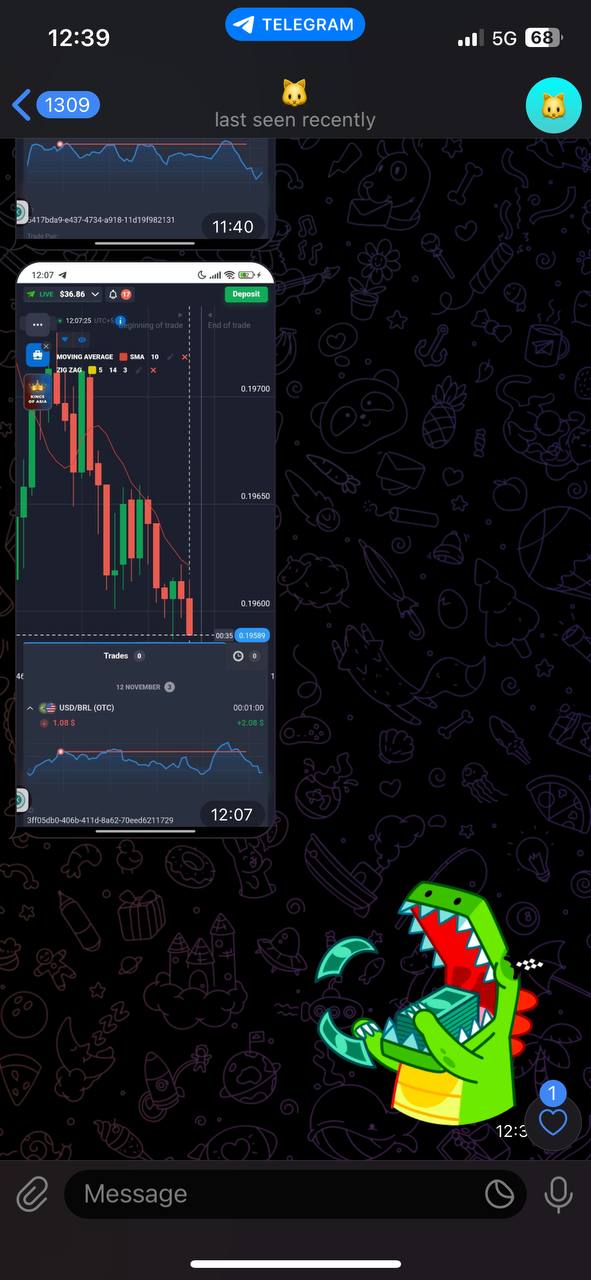 WhatsApp Image 2026-02-18 at 2.03.01 PM